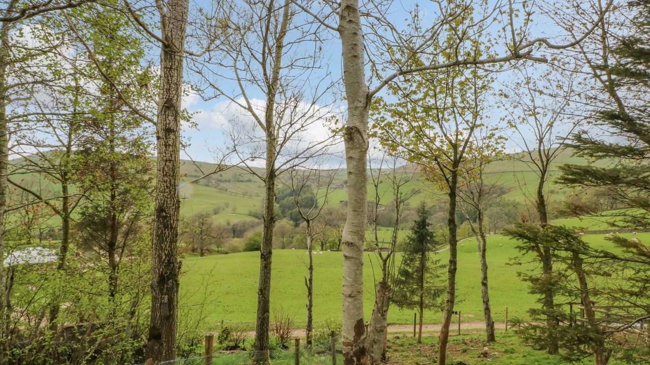 Photo of Others in Allgreave