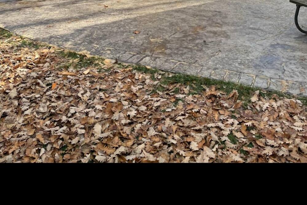 Photo of Others in Trent Hills
