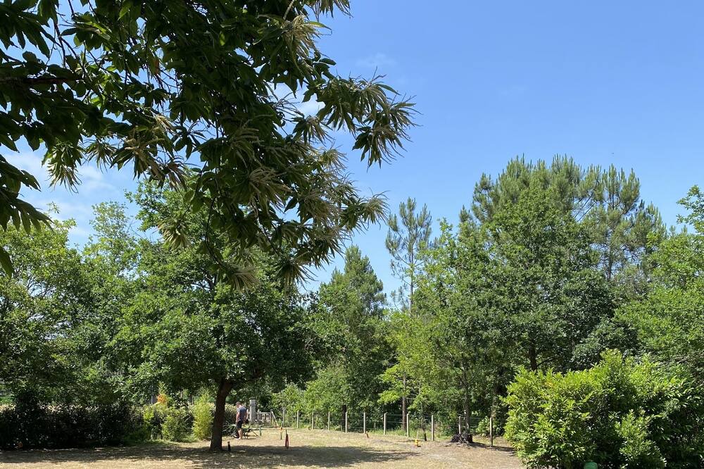 Photo of Outdoor in Gastes