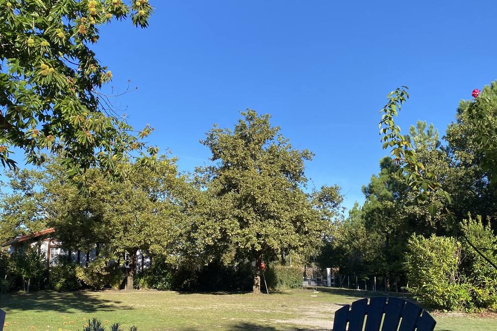 Photo of Outdoor in Gastes