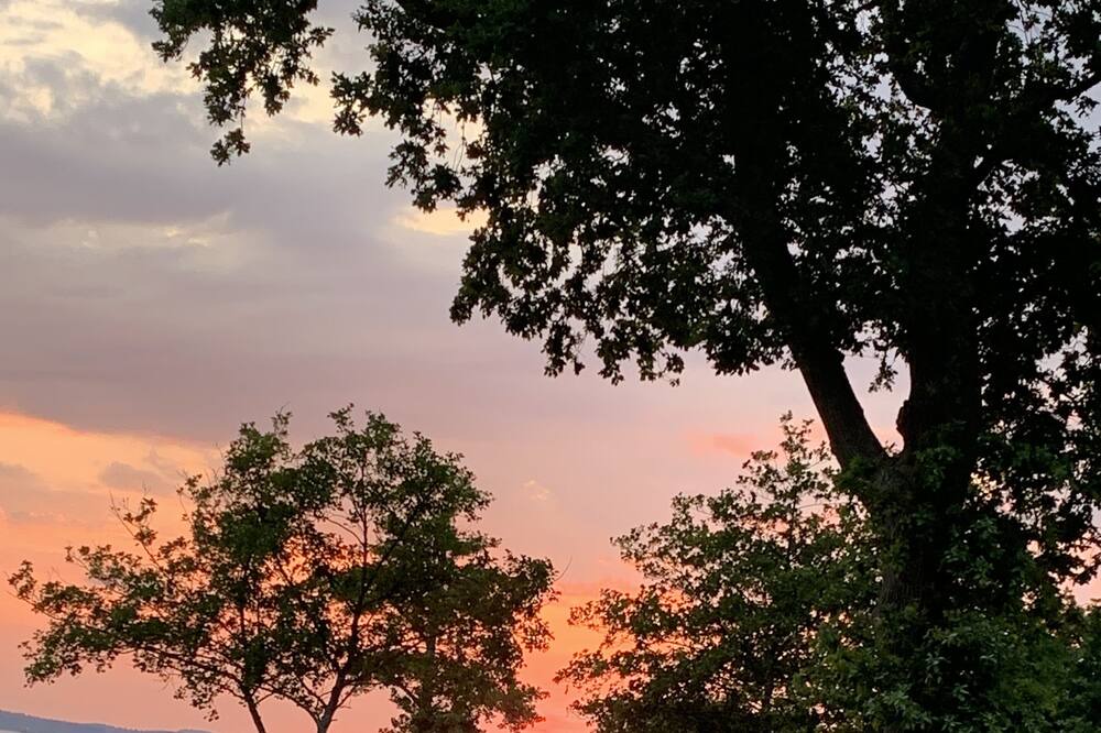 Photo of Outdoor in Gastes