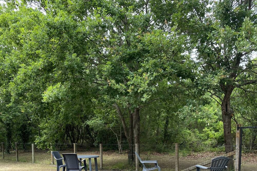 Photo of Outdoor in Gastes