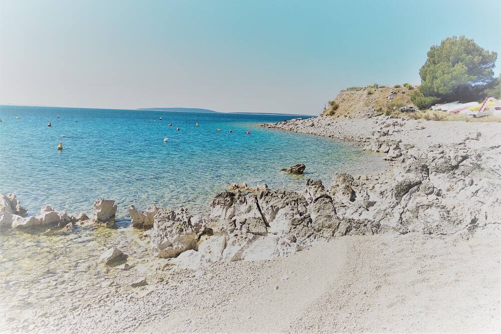 Photo of Others in Miholascica