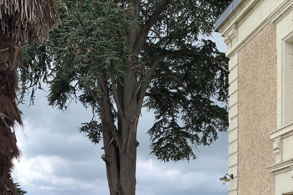 Photo of Outdoor in Brion-pres-Thouet