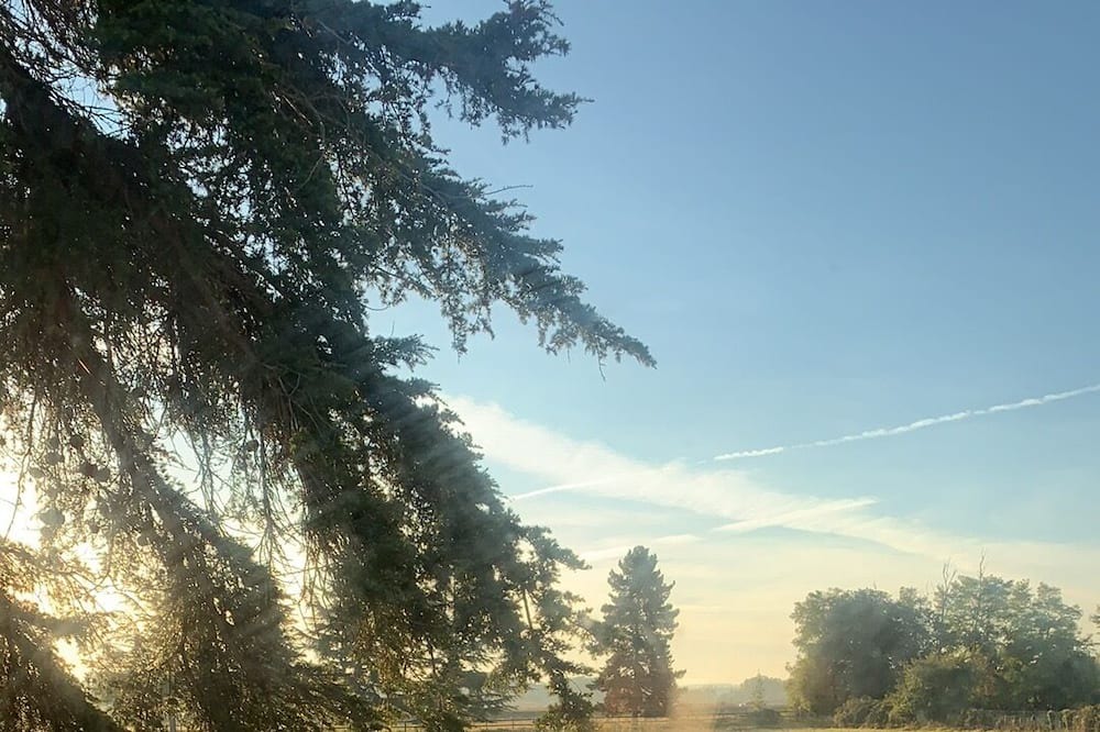 Photo of Outdoor in Brion-pres-Thouet