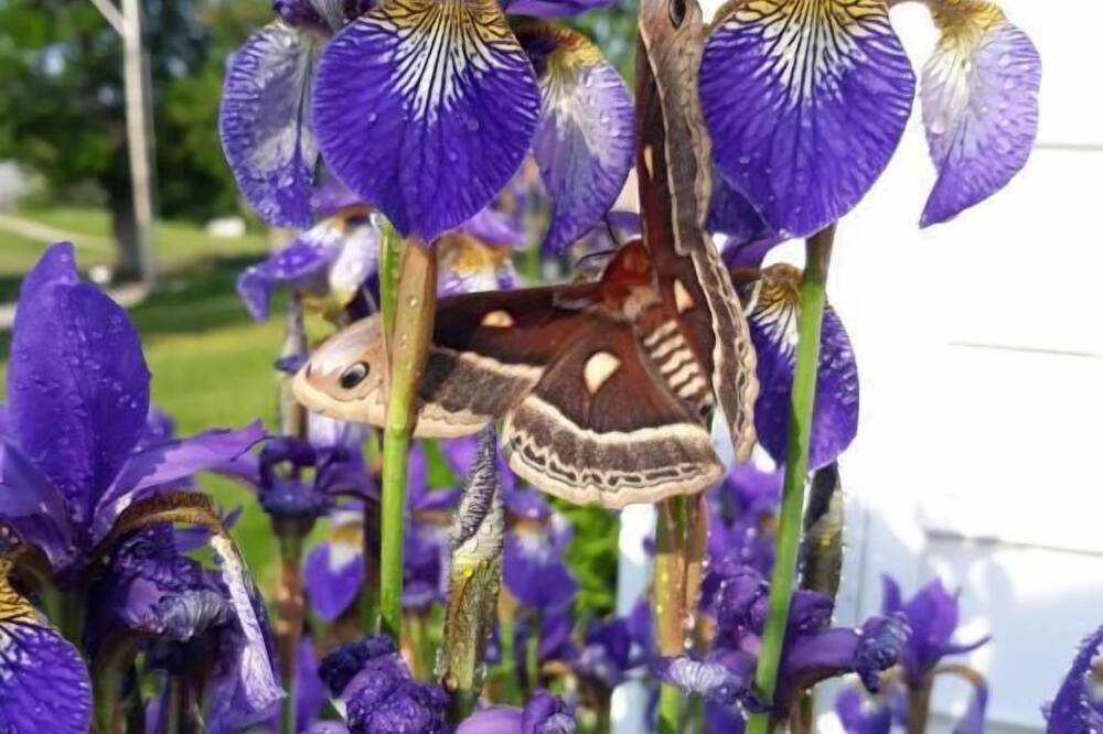 Photo of Outdoor in Cherryfield