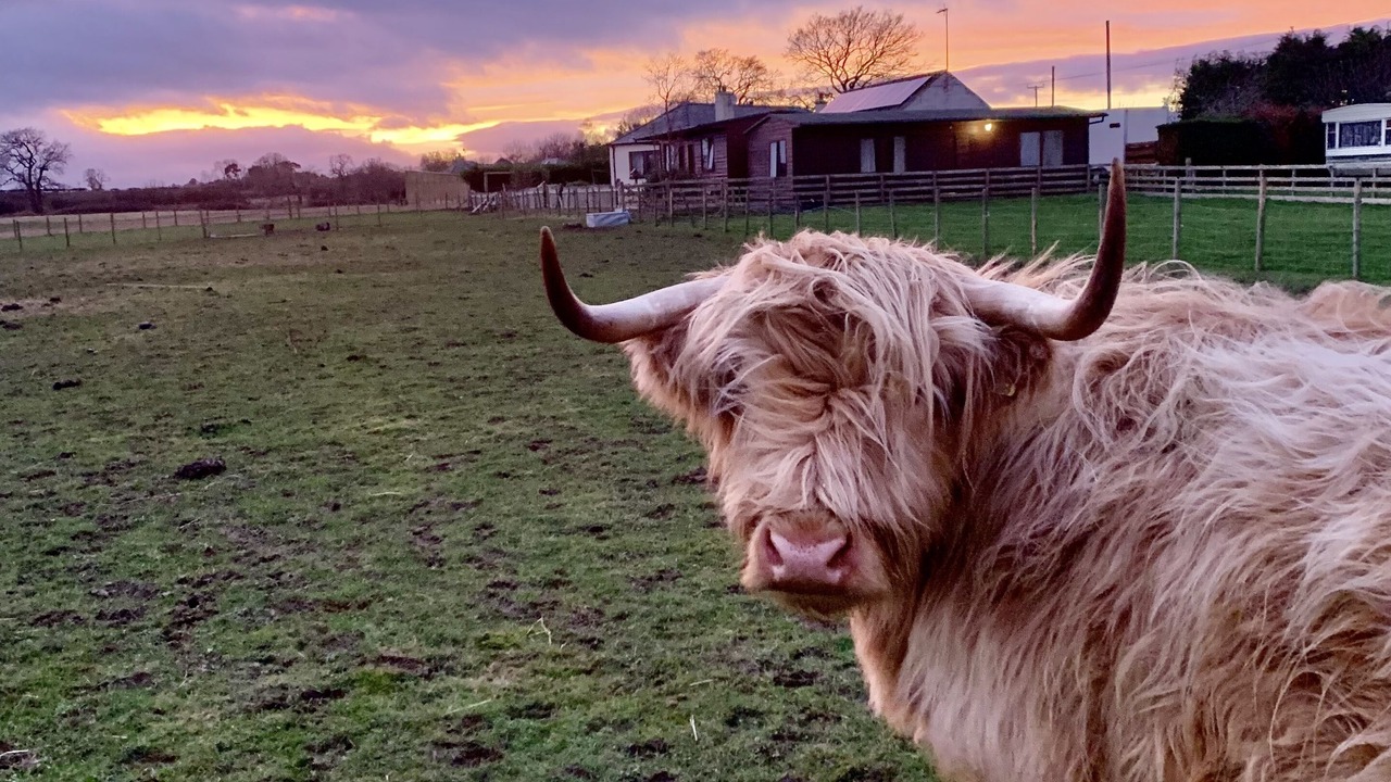 Photo of Others in Haddington