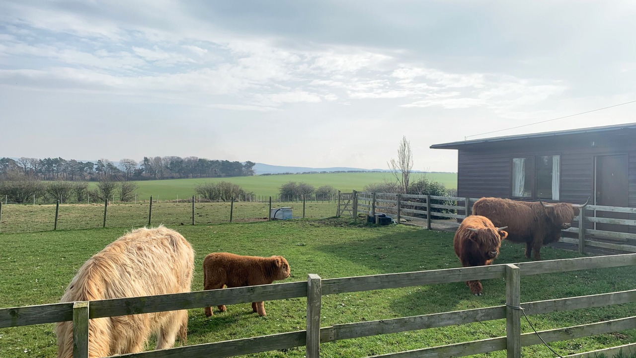 Photo of Outdoor in Haddington