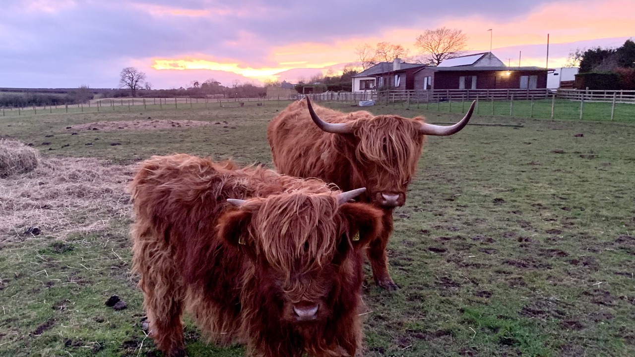 Photo of Others in Haddington