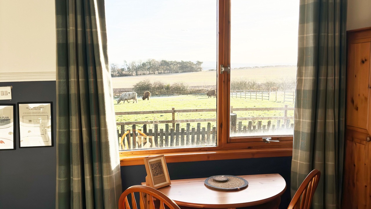 Photo of Others in Haddington