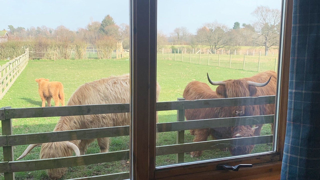 Photo of Others in Haddington