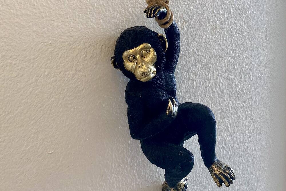 Photo of Others in Orient Bay