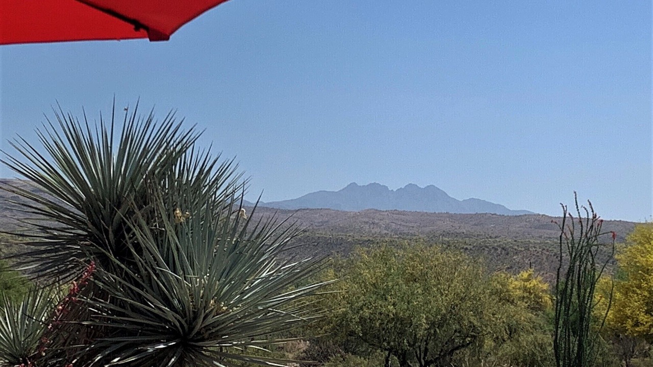Photo of Outdoor in Rio Verde