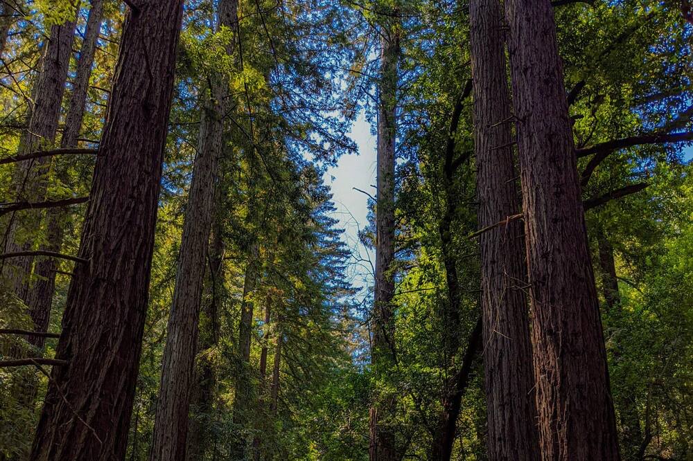 Photo of Outdoor in Davis Tract