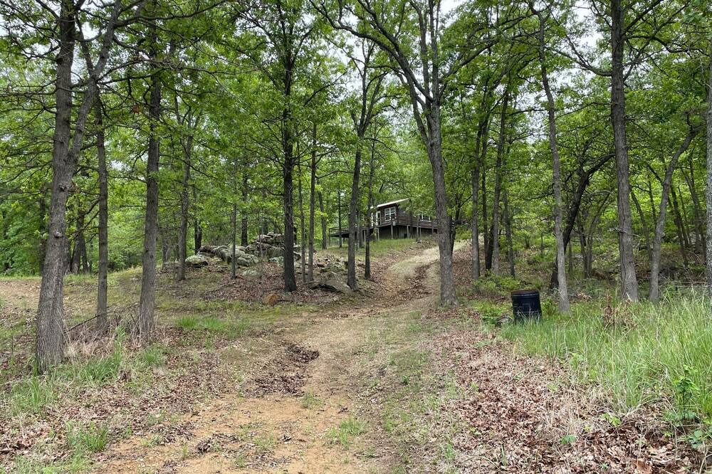 Photo of Outdoor in Bowring