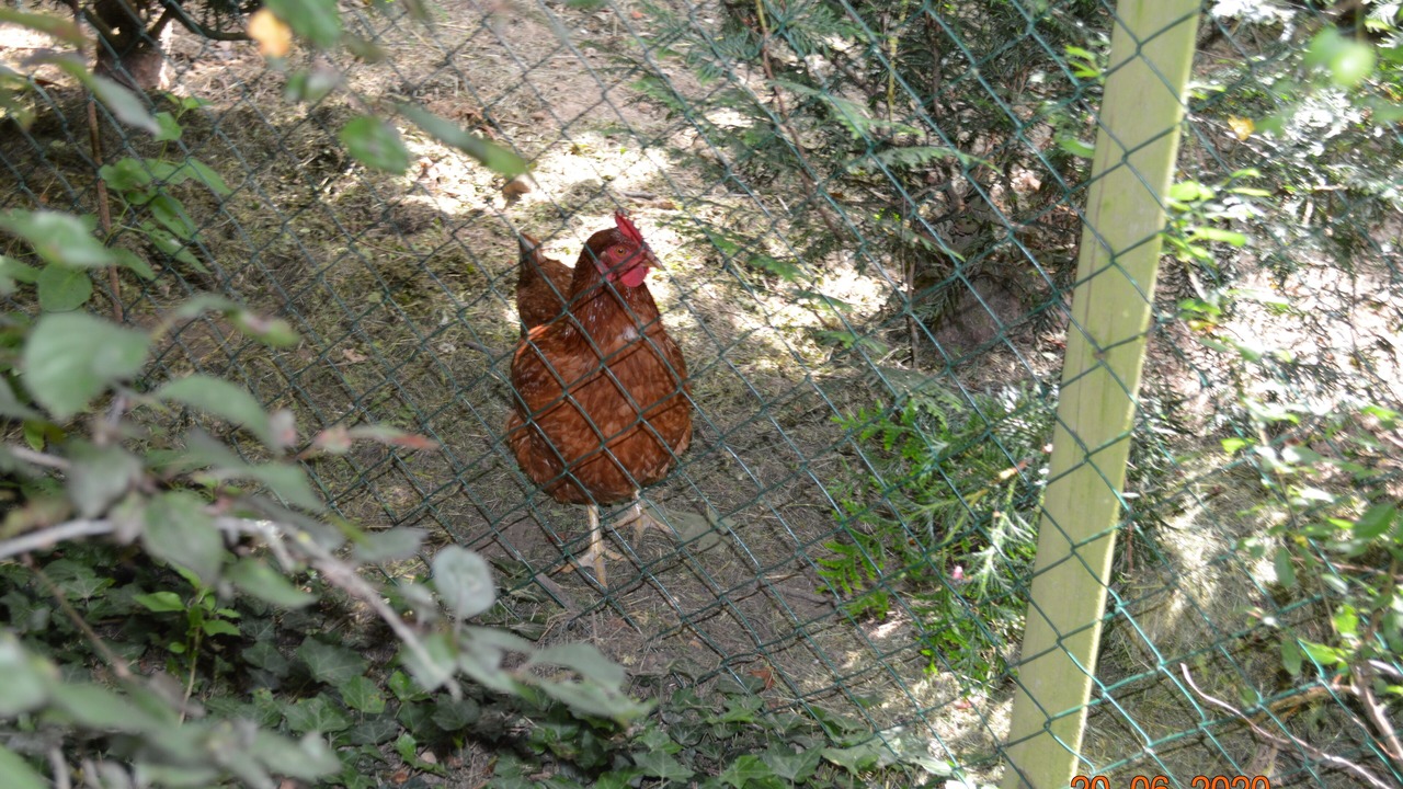 Photo of Outdoor in Chaumot