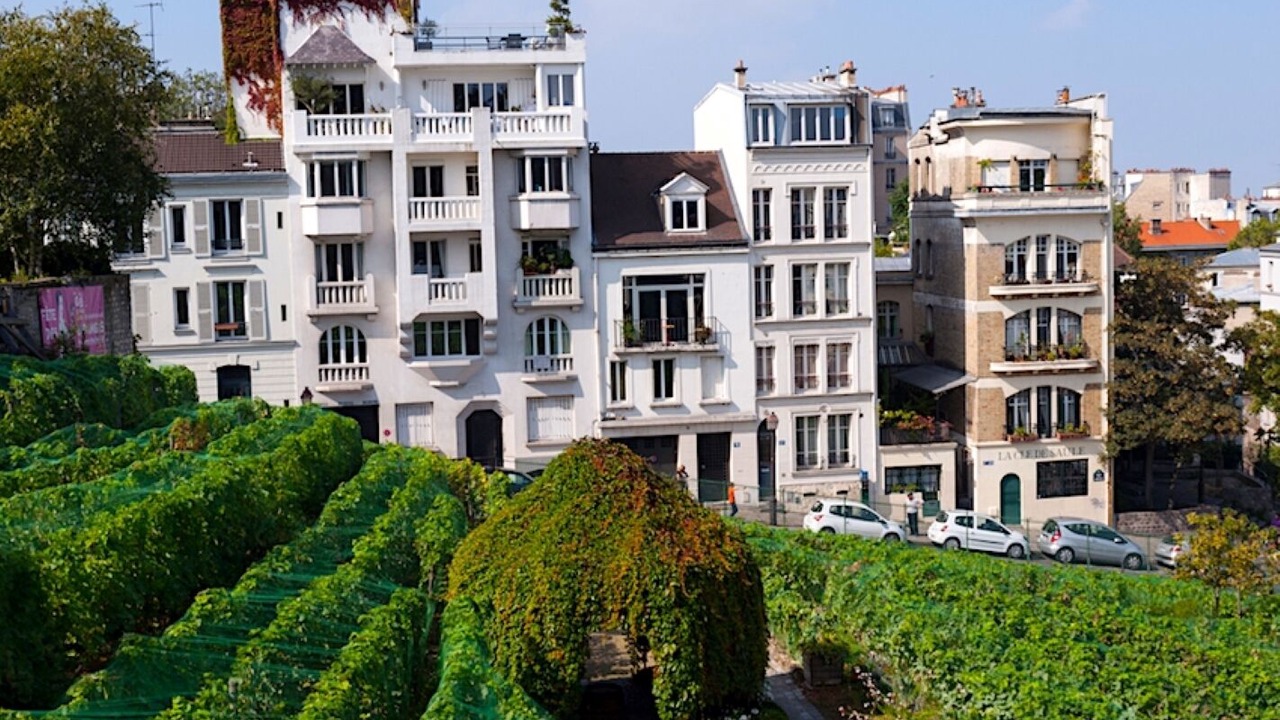 Photo of Outdoor in Montmartre