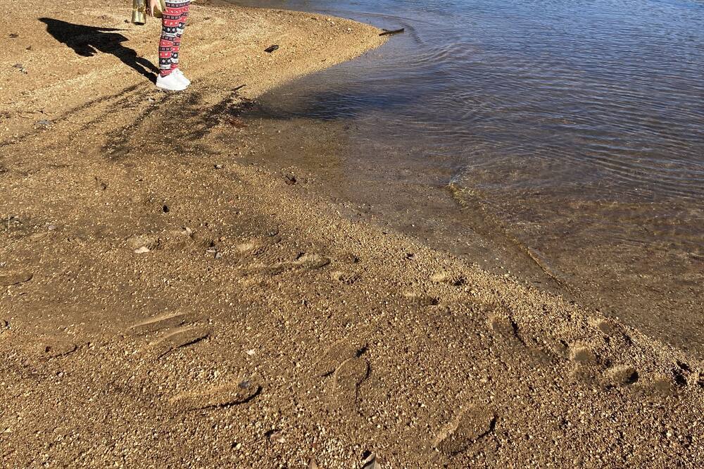 Photo of Others in Cedar Bluff