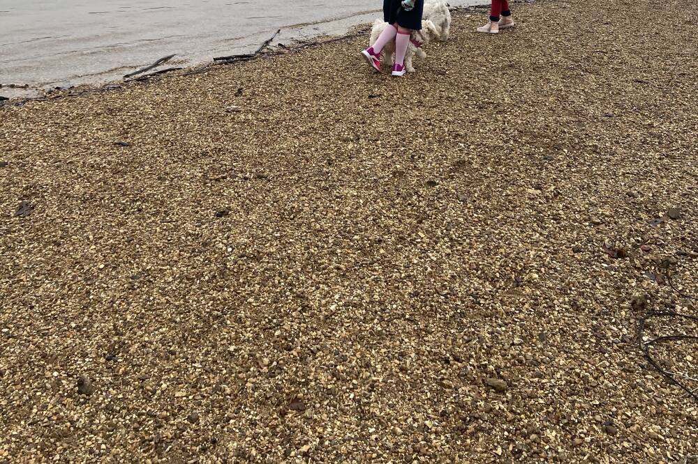 Photo of Others in Cedar Bluff