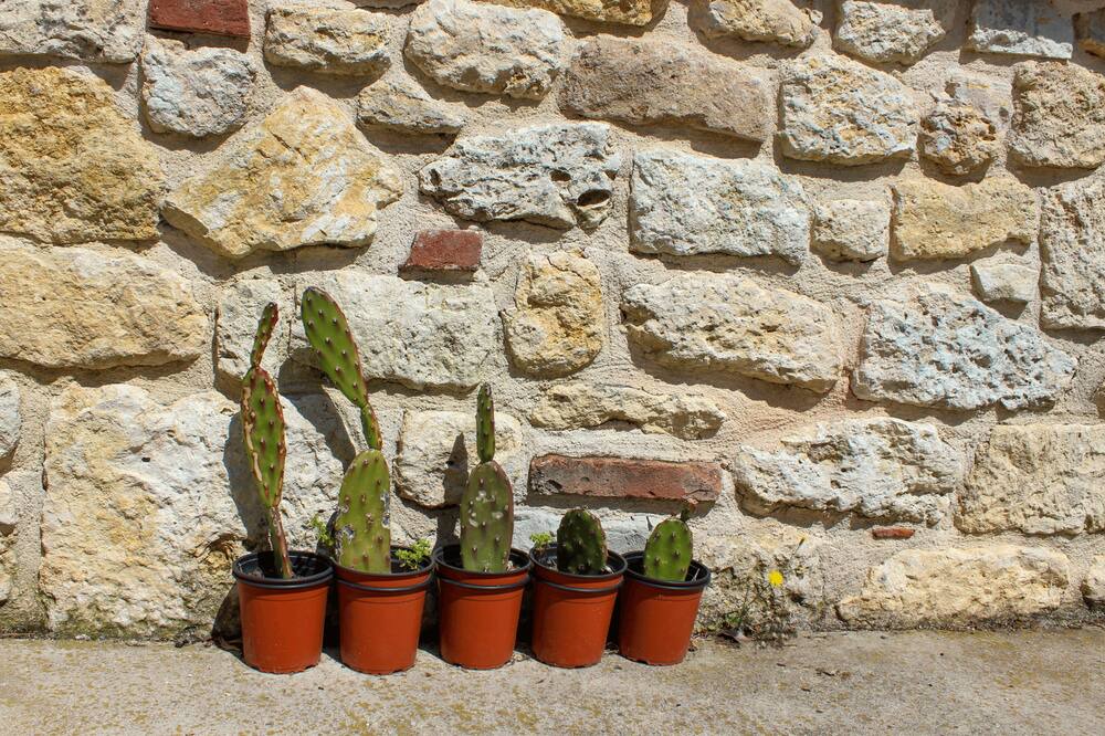 Photo of Outdoor in Albi
