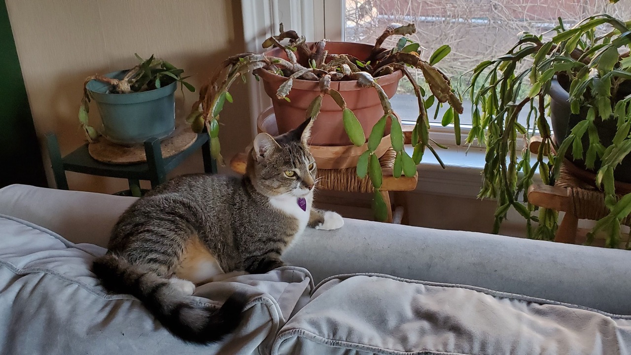 Photo of Others in Somerville