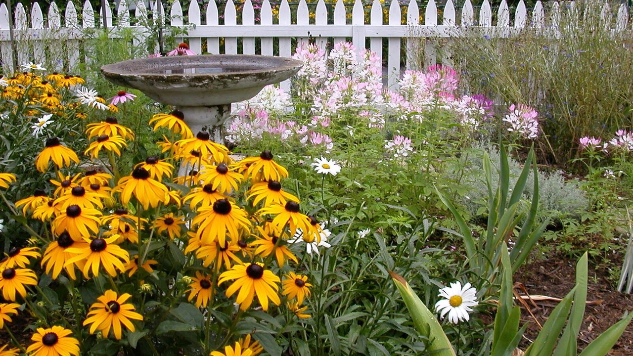 Photo of Outdoor in Somerville