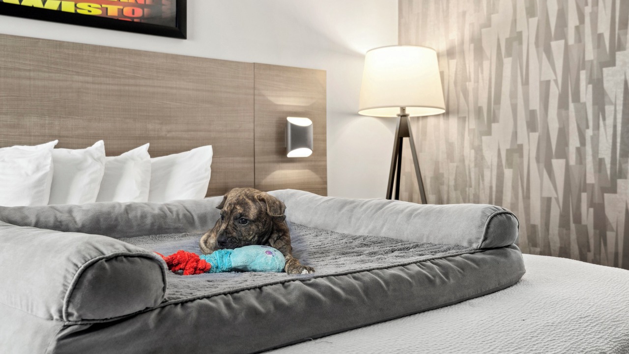 Photo of Others in Waterville