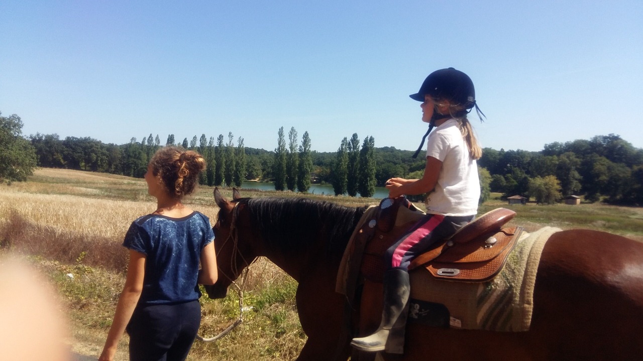 Photo of Others in Marsales