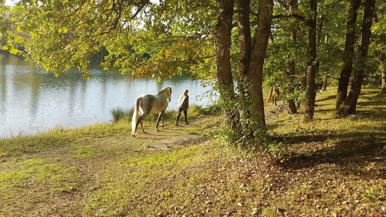 Photo of Outdoor in Marsales