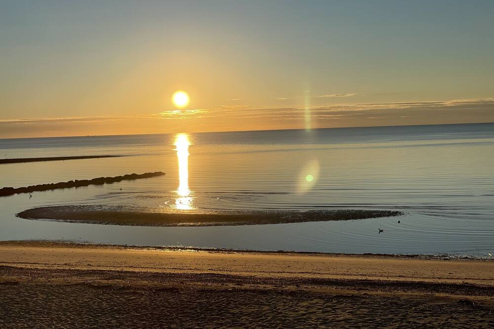 Photo of Others in Devon