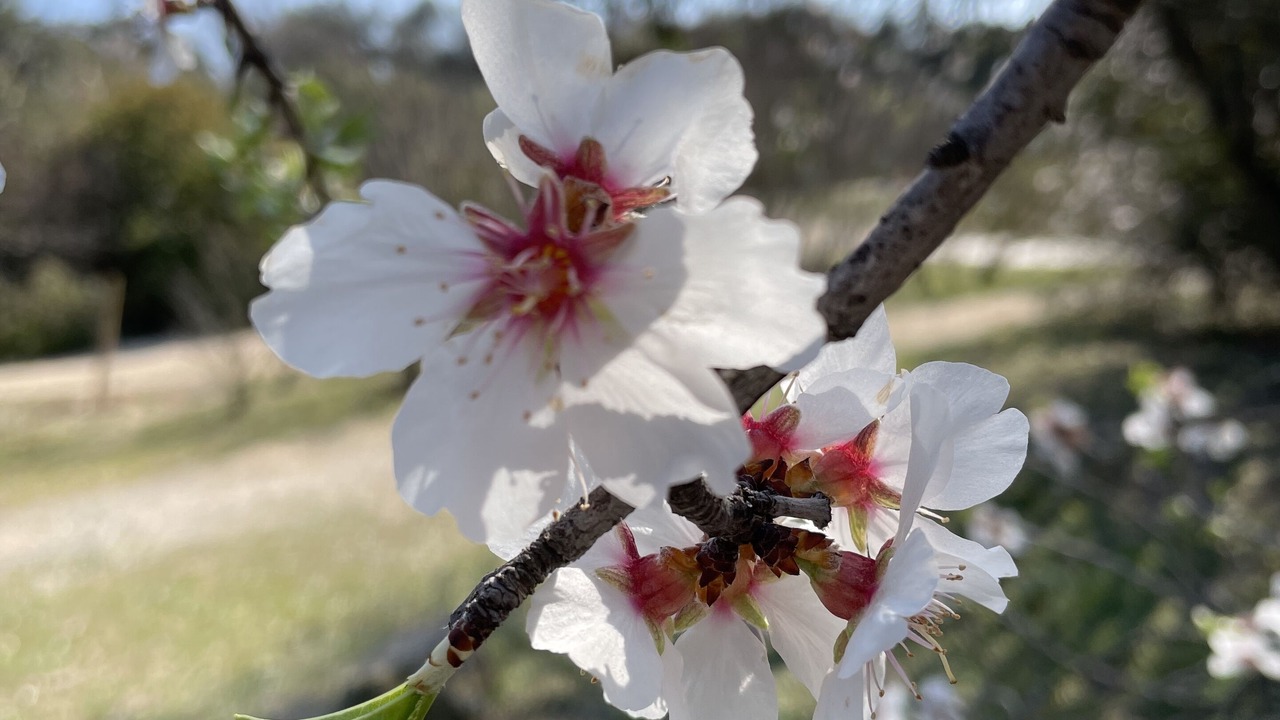 Photo of Outdoor in Saint-Jean-de-Vedas