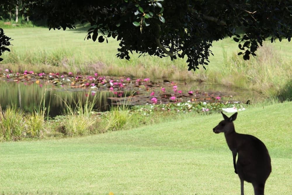 Photo of Outdoor in Mount Warning