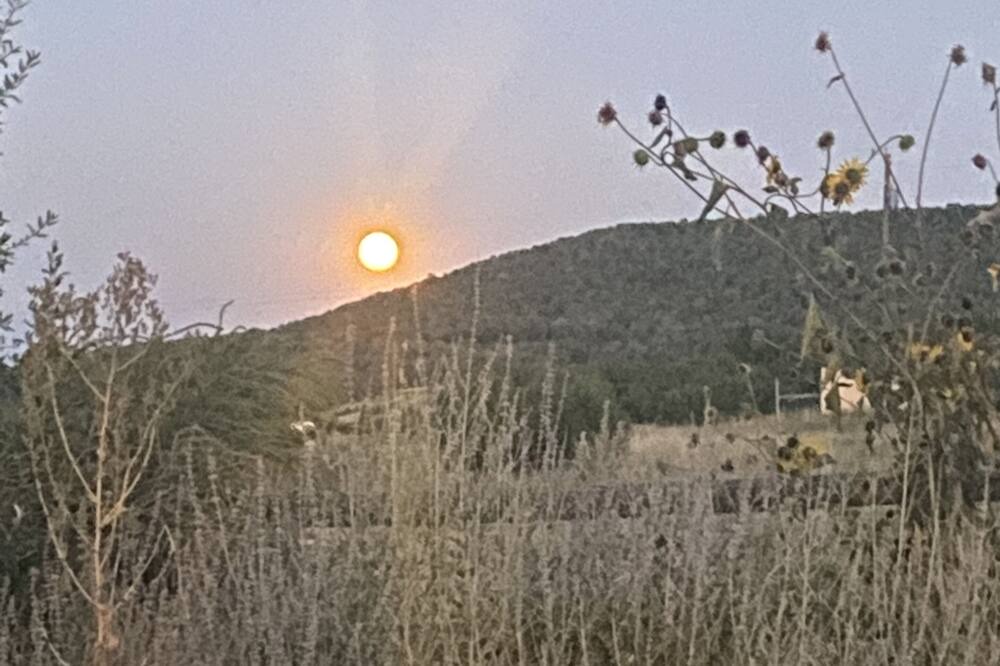 Photo of Outdoor in McIntosh
