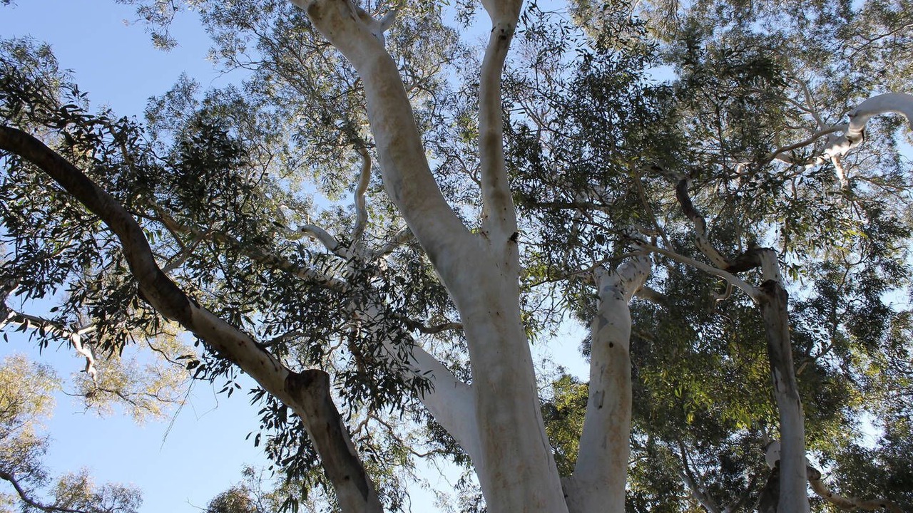 Photo of Outdoor in Eastwood