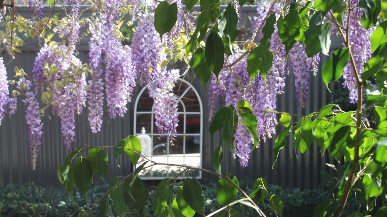 Photo of Outdoor in Eastwood