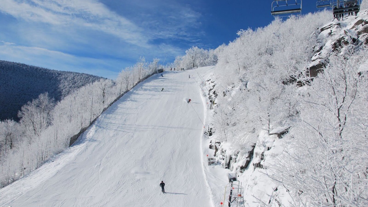 Photo of Others in Tannersville