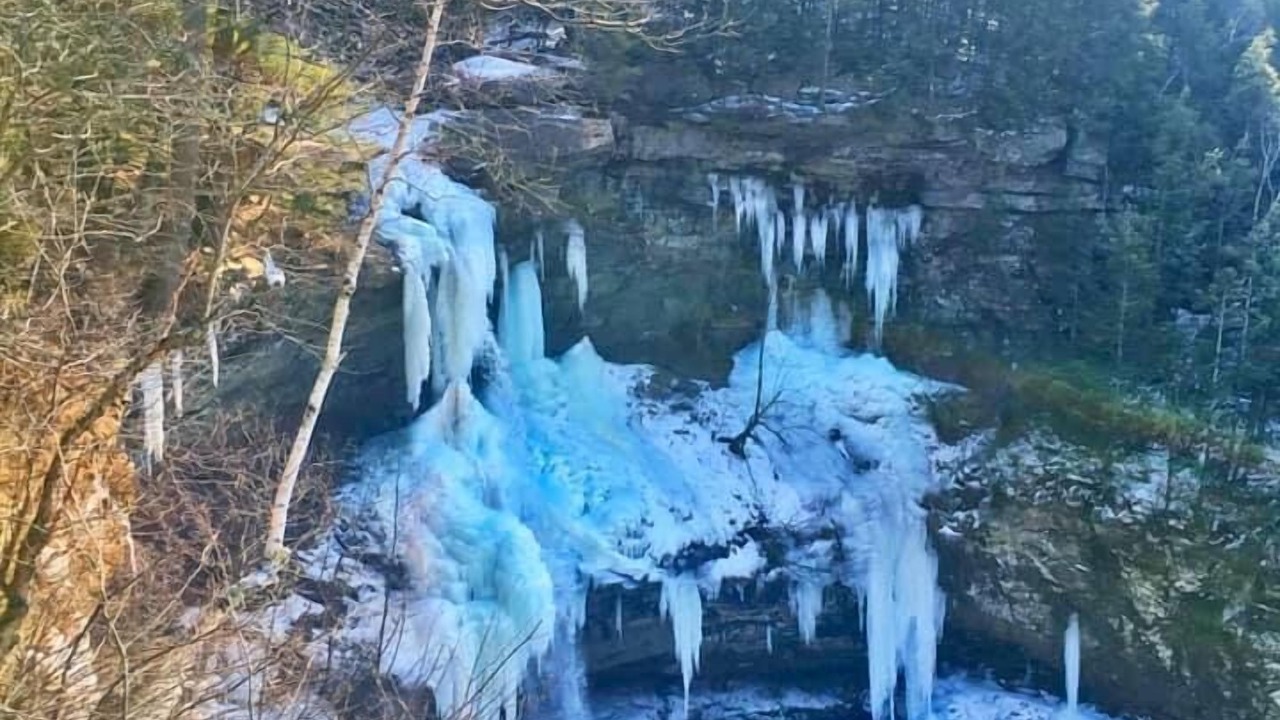 Photo of Others in Tannersville