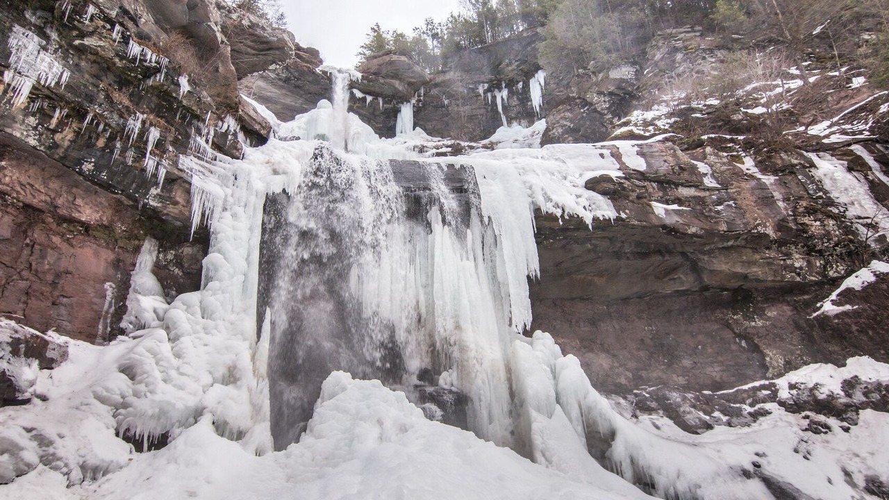 Photo of Others in Tannersville