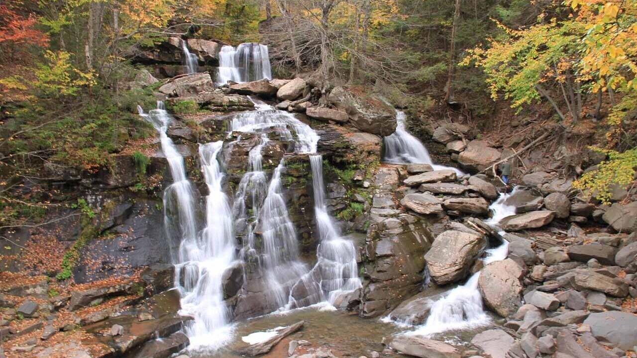 Photo of Others in Tannersville