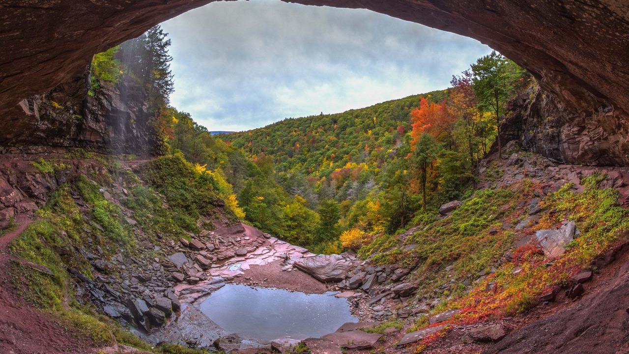 Photo of Others in Tannersville