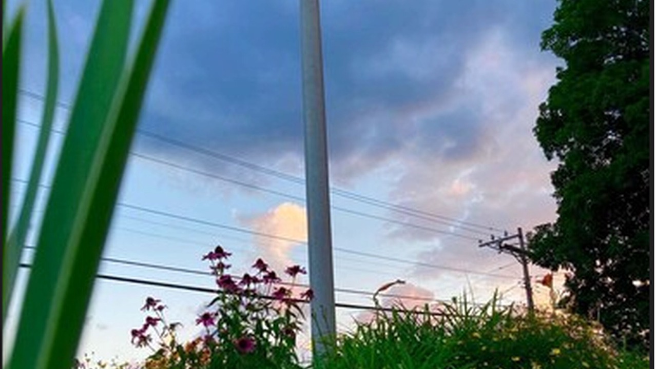 Photo of Outdoor in Tannersville