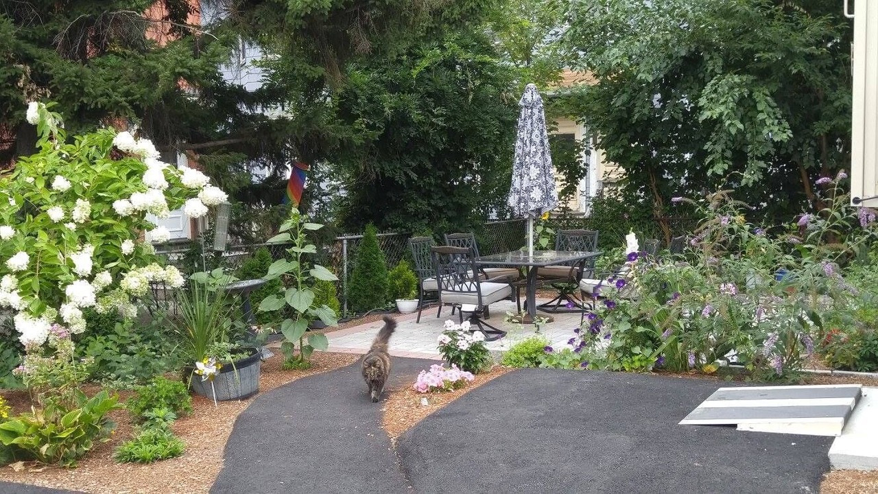 Photo of Patio Balcony in Somerville