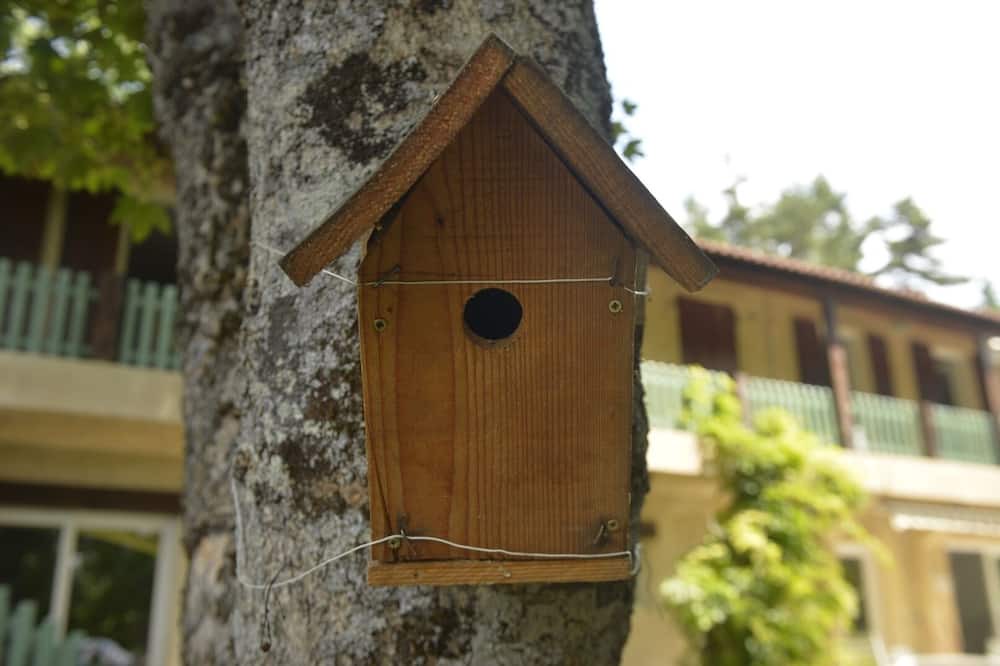 Photo of Outdoor in Thorenc