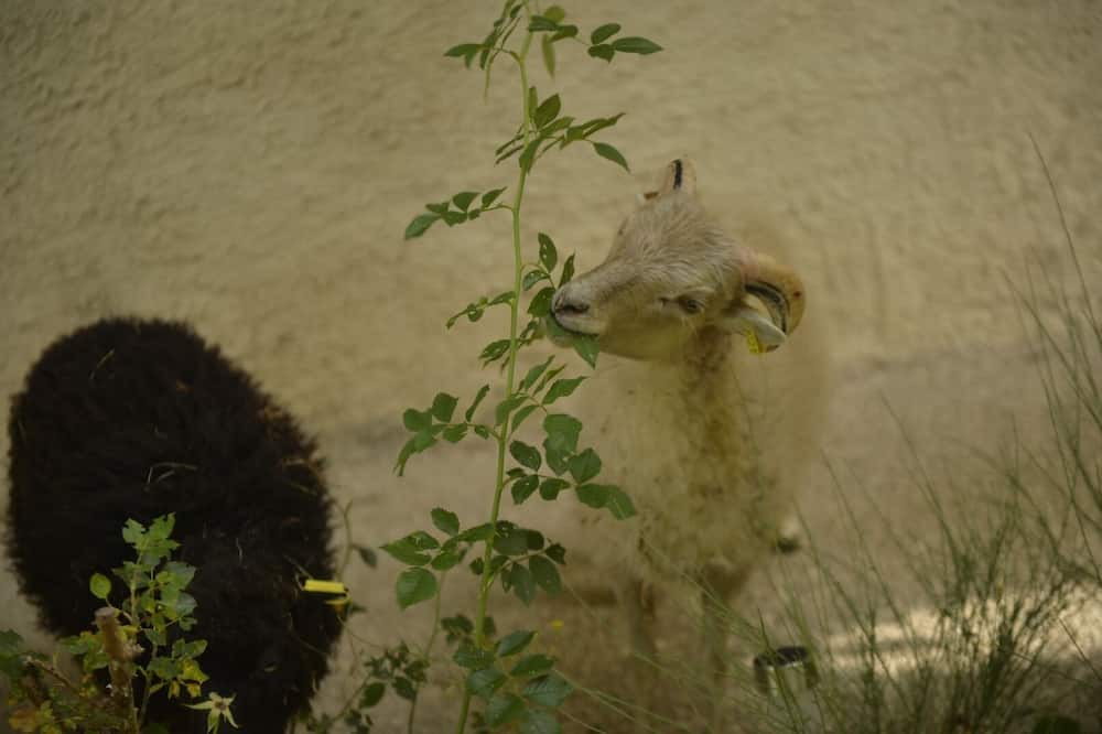 Photo of Others in Thorenc