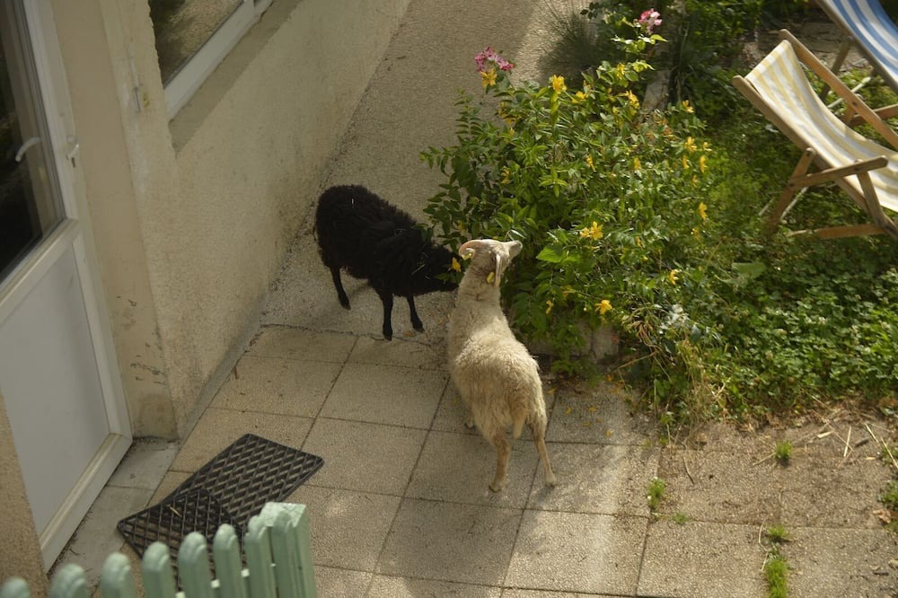 Photo of Outdoor in Thorenc