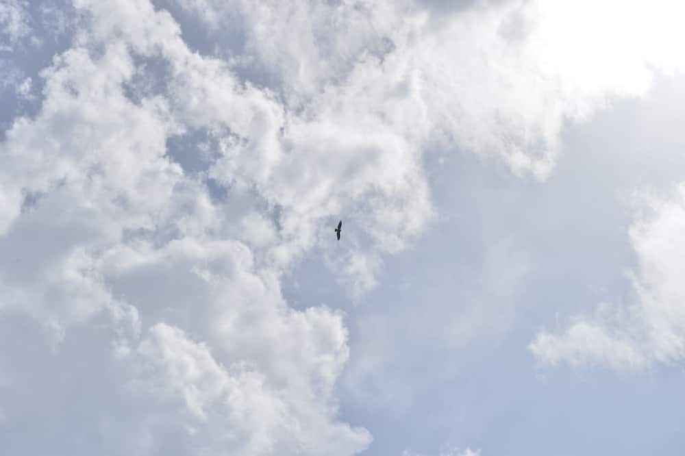 Photo of Others in Thorenc