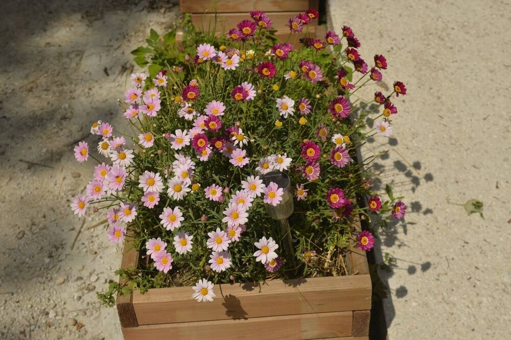 Photo of Outdoor in Thorenc