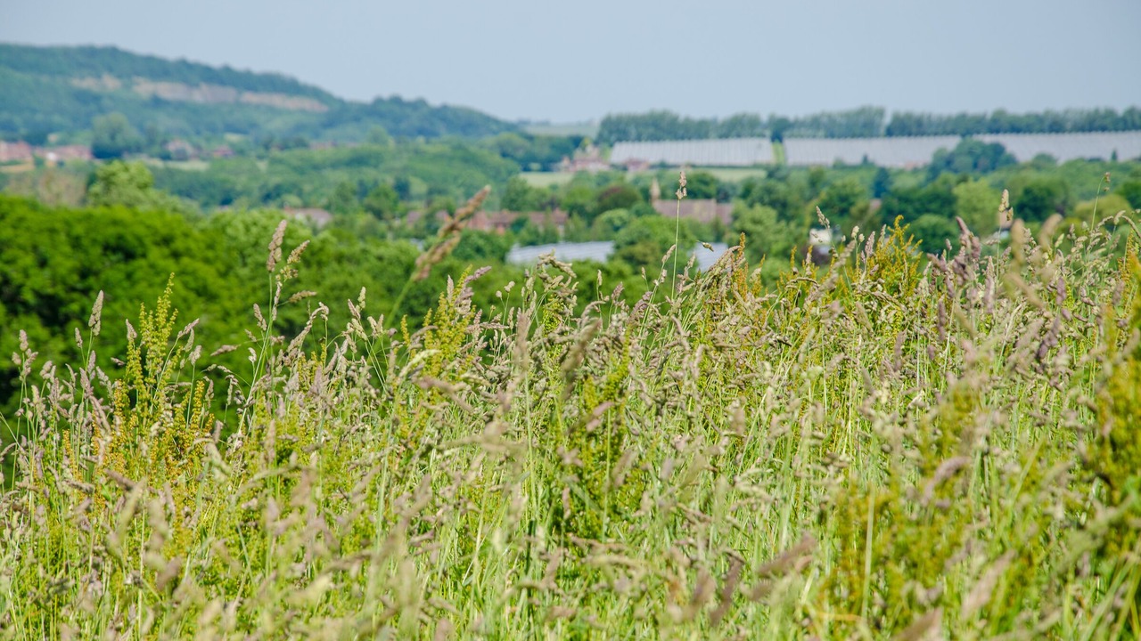 Photo of Outdoor in Wichenford