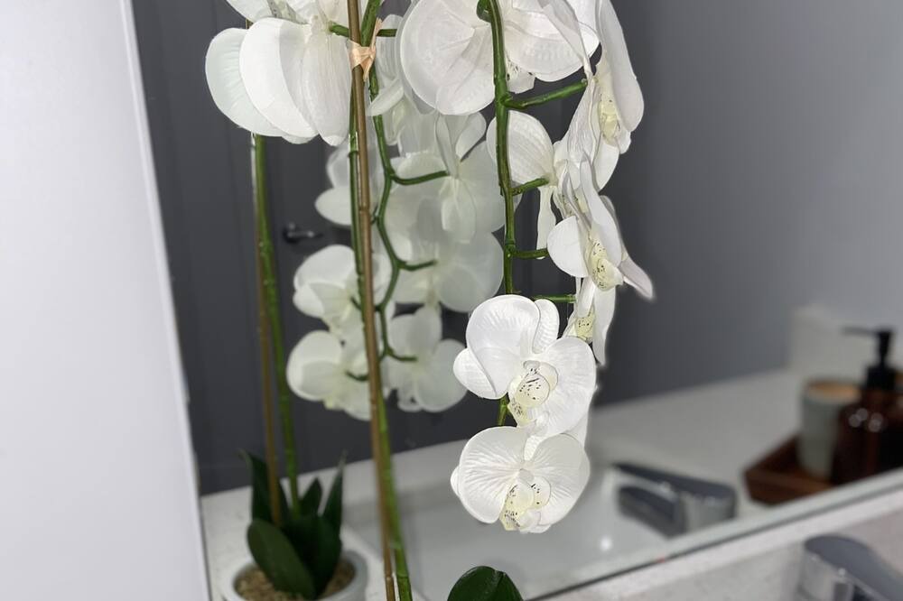 Photo of Bedroom in McGinley Square