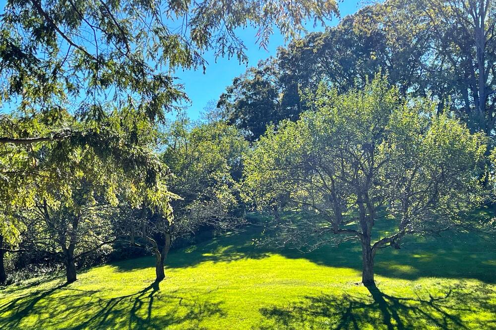 Photo of Outdoor in Hudson